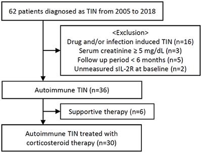 Soluble Interleukin-2 Receptor Predicts Treatment Outcome in Patients With Autoimmune Tubulointerstitial Nephritis. A Preliminary Study